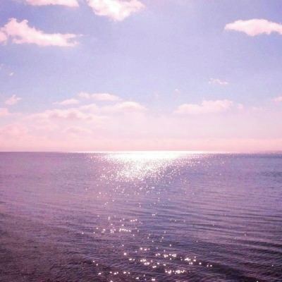 枪战特训2:激战